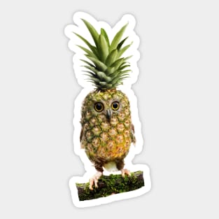 The Pineapple Owl Sticker